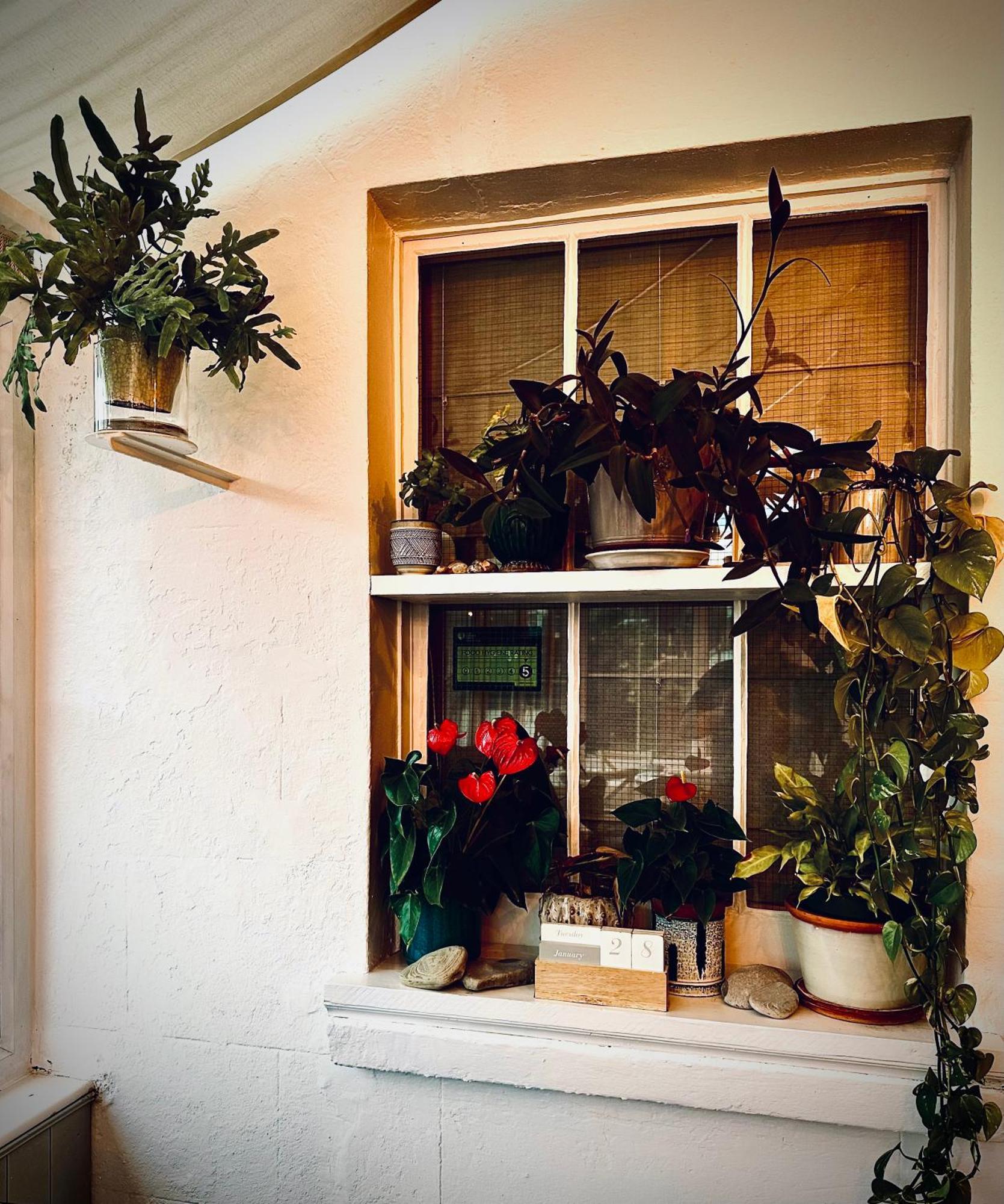 The Laindons Bed and Breakfast Hastings Exteriör bild